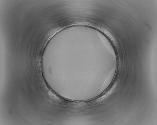 X0000110971001200907171707
