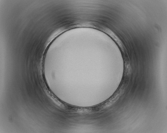 X0000110971002200907171707
