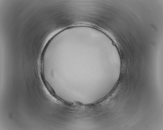X0000110971003200907171707