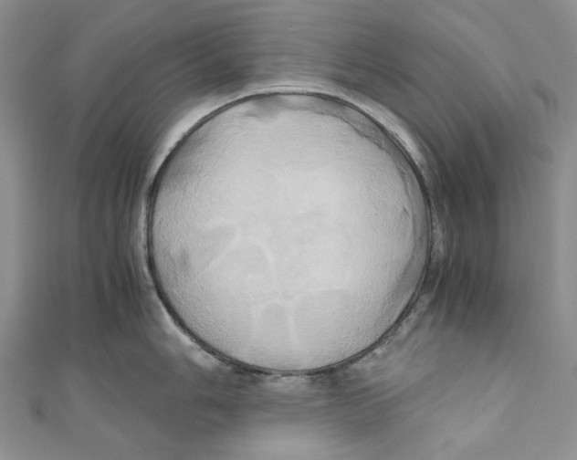 X0000110971006200907171706