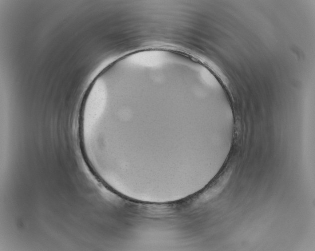 X0000110971007200907171706