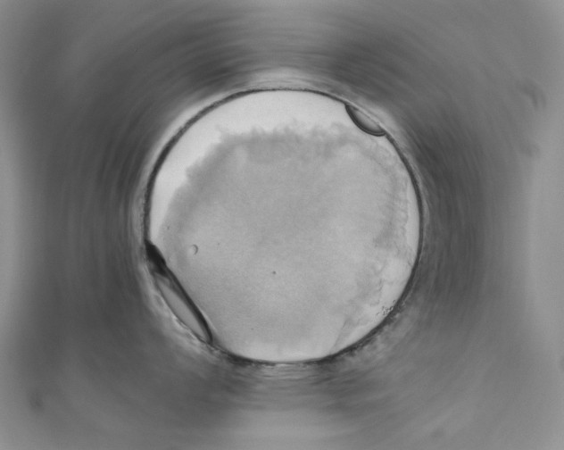 X0000110971008200907171706