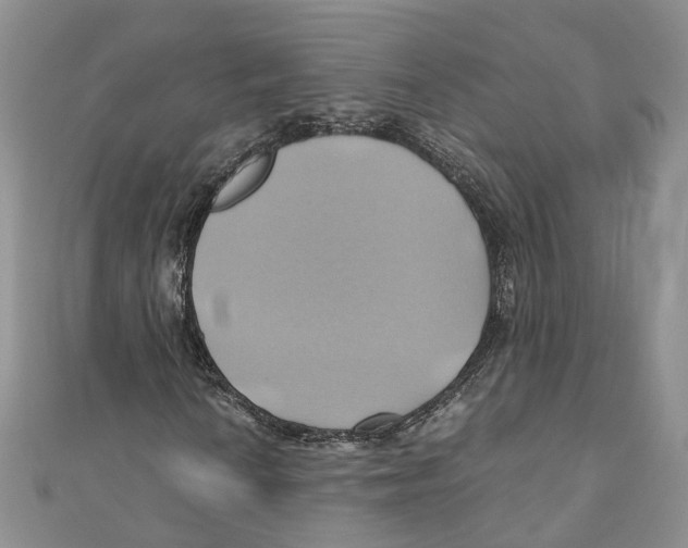 X0000110971010200907171706
