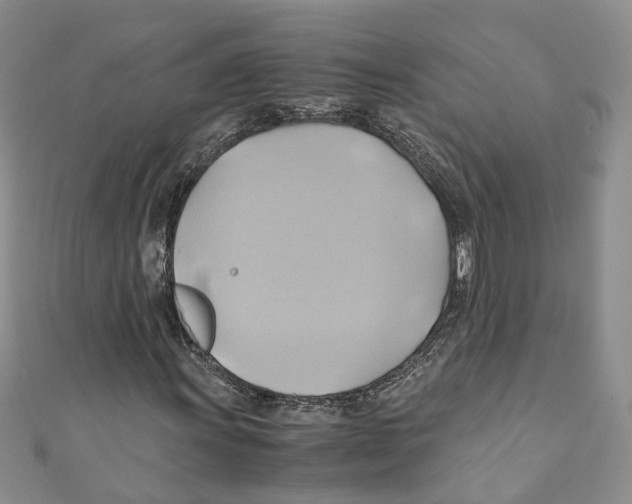 X0000110971011200907171706