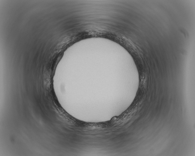 X0000110971012200907171706