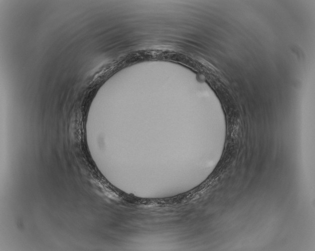 X0000110971014200907171706