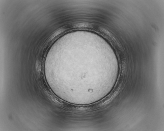 X0000110971017200907171706