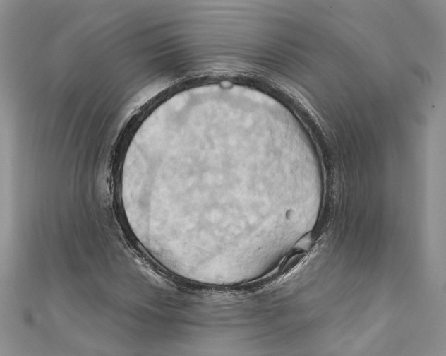 X0000110971018200907171706