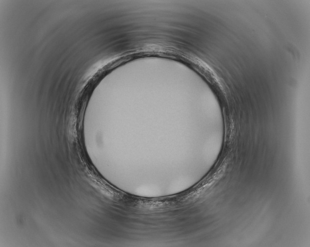 X0000110971019200907171706