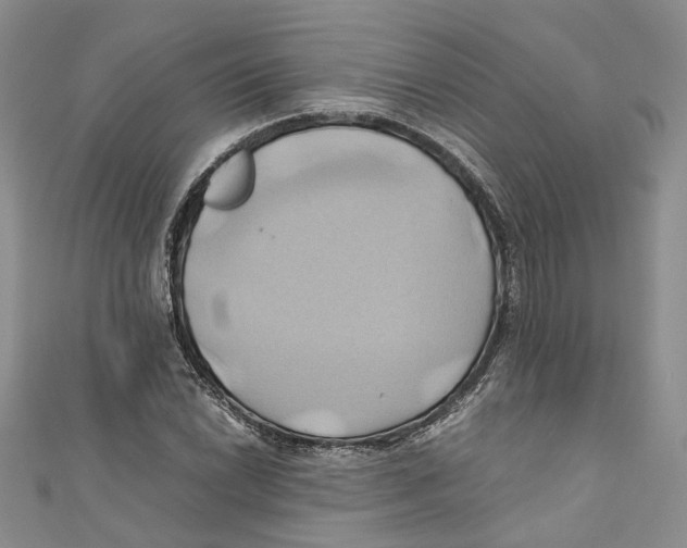 X0000110971022200907171706
