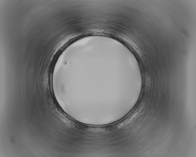 X0000110971023200907171706