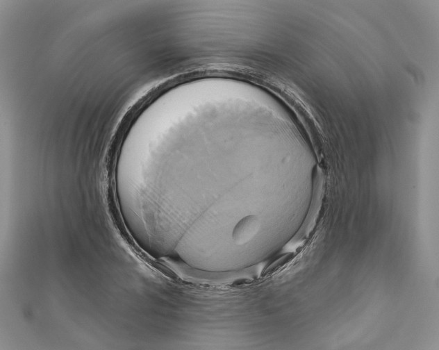 X0000110971024200907171706