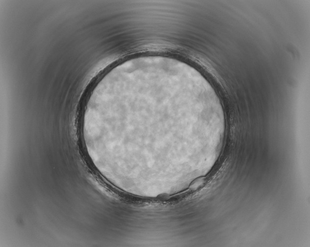 X0000110971026200907171706