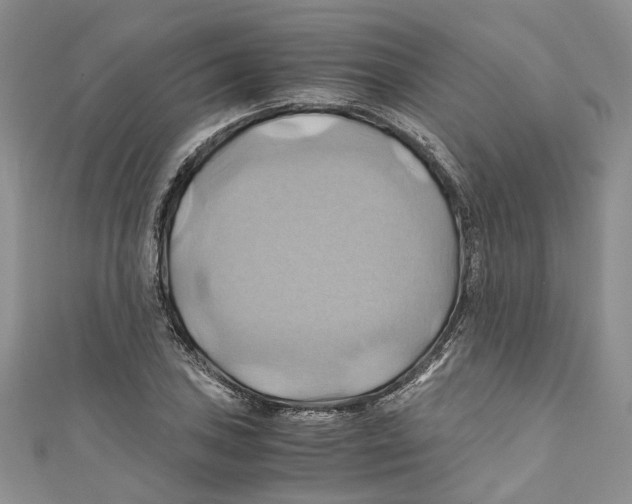 X0000110971027200907171706
