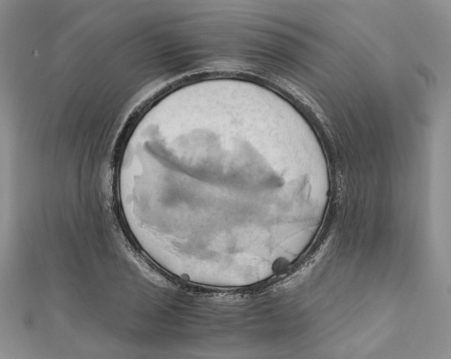 X0000110971029200907171706