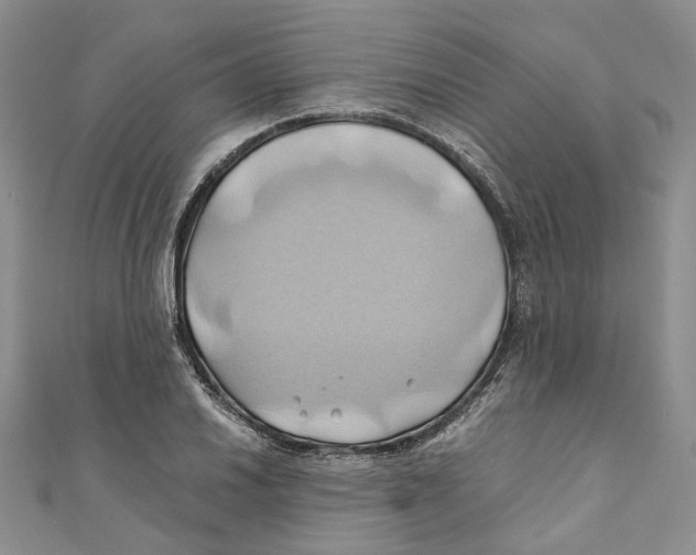 X0000110971030200907171706
