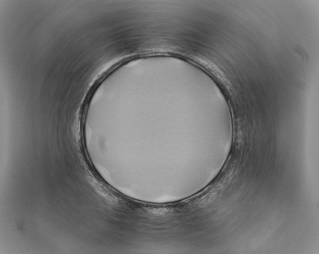 X0000110971031200907171706