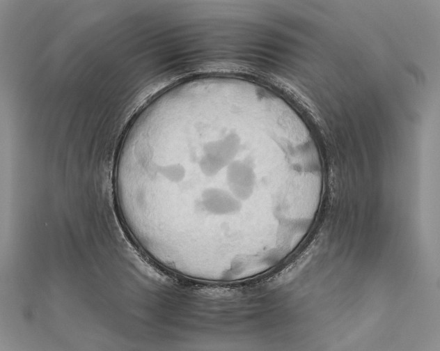 X0000110971033200907171706