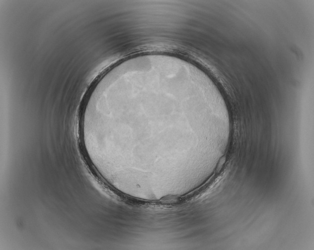 X0000110971034200907171706