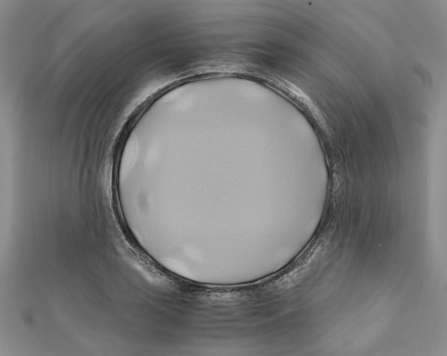 X0000110971035200907171706