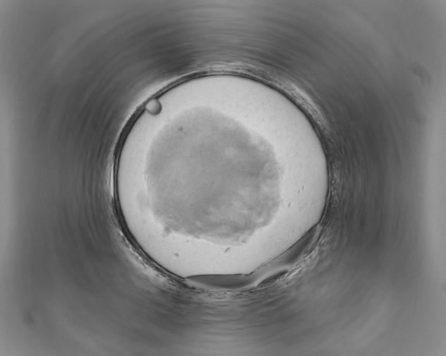 X0000110971036200907171706