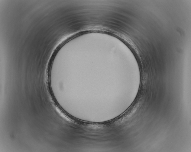 X0000110971037200907171706