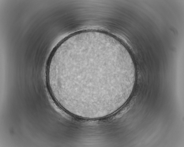X0000110971038200907171706