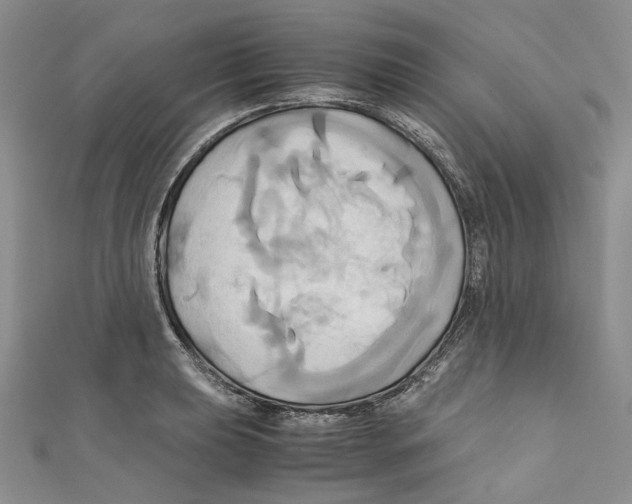 X0000110971039200907171706