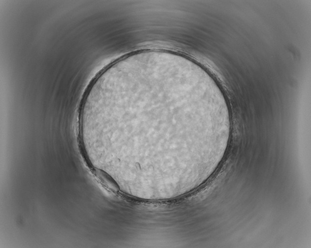 X0000110971040200907171706