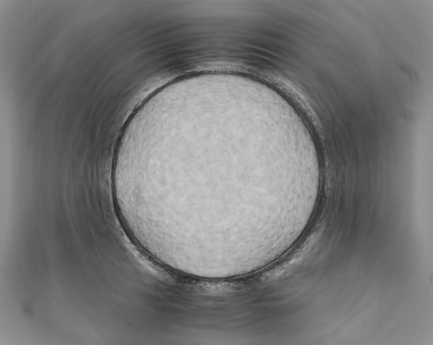 X0000110971041200907171706