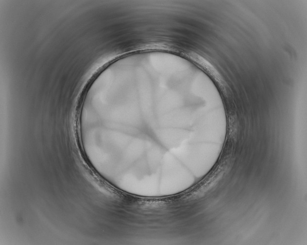 X0000110971043200907171706