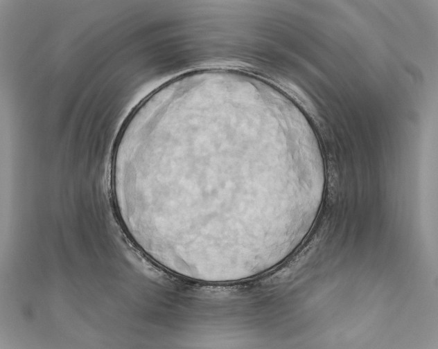 X0000110971044200907171706