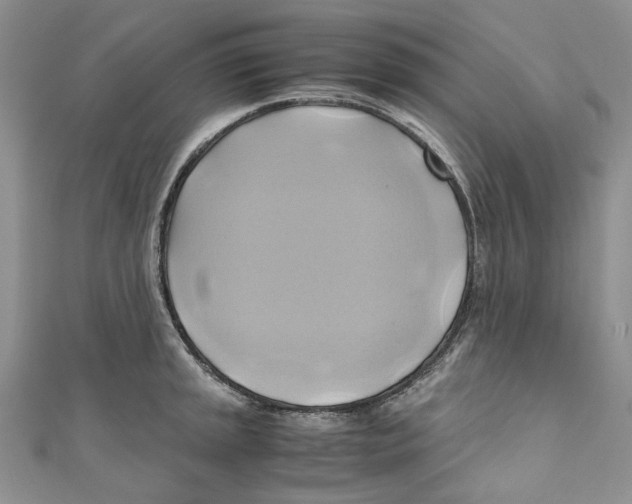 X0000110971045200907171706