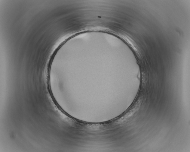X0000110971046200907171706