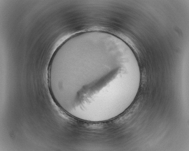 X0000110971047200907171706