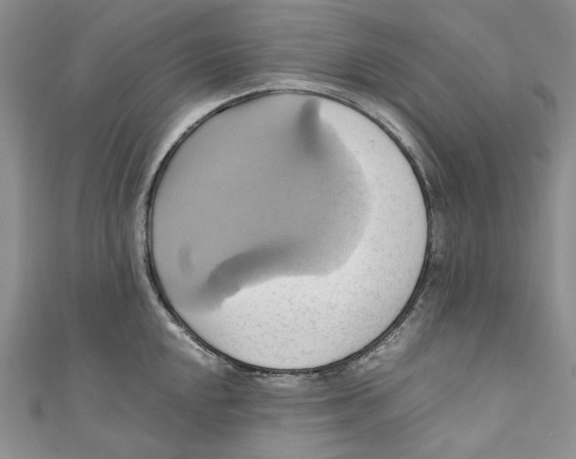 X0000110971048200907171706