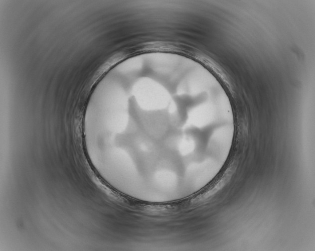 X0000110971049200907171706
