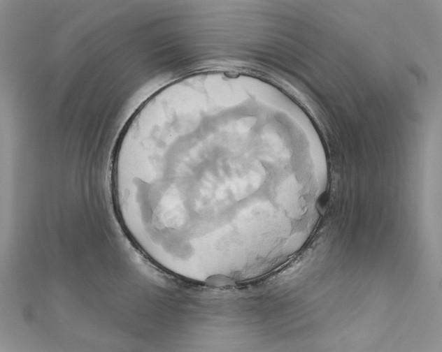 X0000110971050200907171706