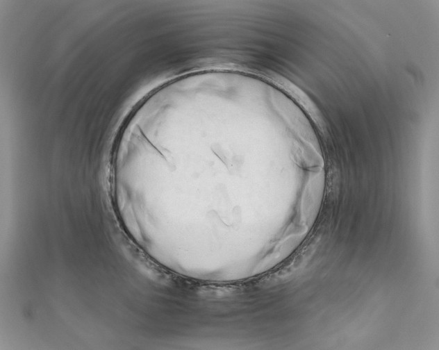 X0000110971051200907171706