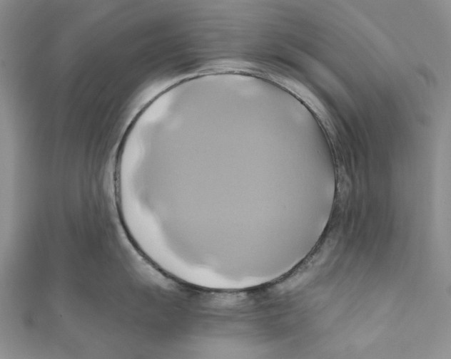 X0000110971055200907171706
