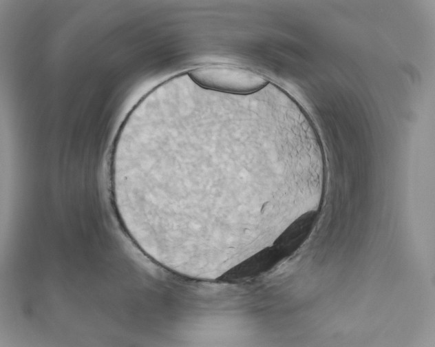 X0000110971056200907171706