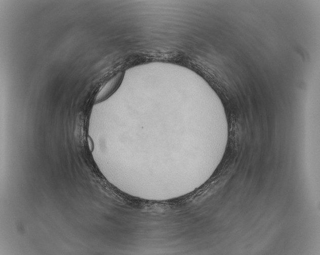X0000110971058200907171706
