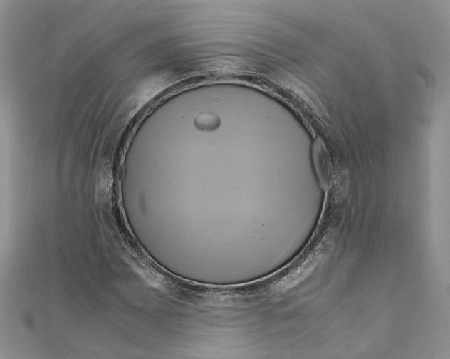 X0000110971065200907171706