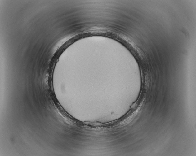 X0000110971066200907171706