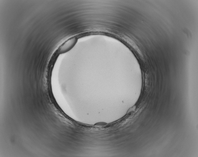 X0000110971068200907171706