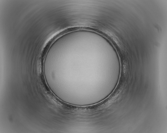 X0000110971069200907171706