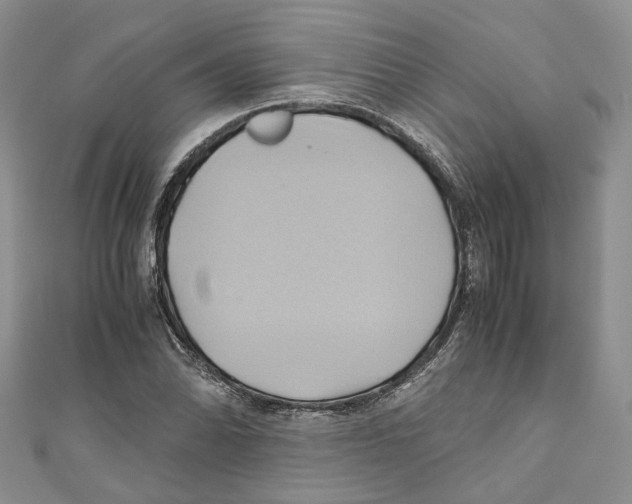 X0000110971070200907171706