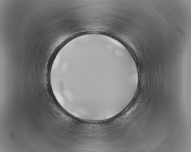 X0000110971071200907171706