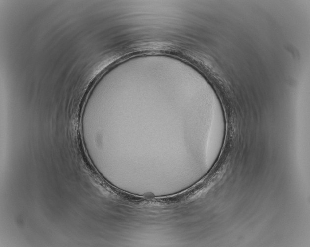 X0000110971073200907171706