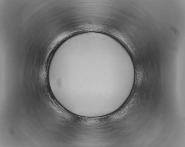 X0000110971074200907171706